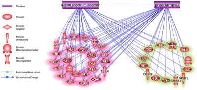 Preeclampsia Drives Molecular Networks to Shift Toward Greater Vulnerability to the Development of Autism Spectrum Disorder